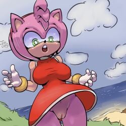 amy_rose beach bra bracelet cameltoe dress furry gloves going_commando pussy sega shocked_expression sonic_(series) thong vixycore