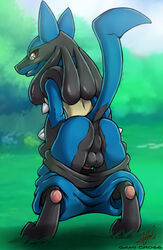 1boy 2018 anus ass back big_feet big_testicles blue_fur blush canine dark_nek0gami day erection feet furry grass grin looking_at_viewer looking_back lucario male male_only mostly_nude nintendo outdoors pants pants_down pawpads paws penis penis_out pokemon pokemon_(species) pokemon_dppt raised_tail red_eyes sky smile solo spikes standing tail teeth testicles text video_games watermark yellow_fur