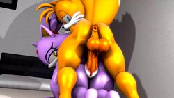 3d animated anthro anus balls bed big_balls big_butt big_penis blaze_the_cat bouncing_balls burstingseas butt canine cat duo erection feline female female_penetrated fox from_behind_position furry high_framerate looking_back loop male male/female male_on_top male_penetrating male_penetrating_female mammal miles_prower no_sound nude on_top penis pussy sex short_playtime sonic_(series) spiderman123 straight thick_thighs video voluptuous wide_hips