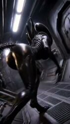 1boy 1girl 1girls 1male ai-created ai_generated alien alien_(franchise) alien_humanoid animated anthro anus ass athletic big_ass big_breasts big_butt big_pussy blade bodily_fluids breasts clothed clothing crawling detailed_background drooling duo eyeless fangs female female_xenomorph genitals huge_ass huge_breasts huge_butt huge_thighs human human_male humanoid looking_at_viewer muscular muscular_humanoid needy nightmare_waifu not_furry plantigrade presenting presenting_anus presenting_hindquarters presenting_pussy pussy raised_tail rear_view saliva saliva_string seductive sharp_teeth sound standing tagme tail tail_blade teeth thick_thighs vagina video walking weapon_tail weyland_yutani wide_hips xenomorph