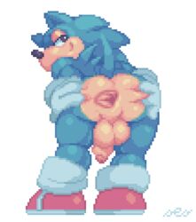 anus ass balls looking_at_viewer looking_back male_only penis presenting presenting_hindquarters ses_vanbrubles sonic_(series) sonic_the_hedgehog spread_anus spread_ass transparent_background