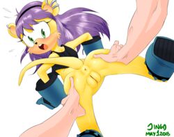 mina mongoose from sonic (series) by captainjingo