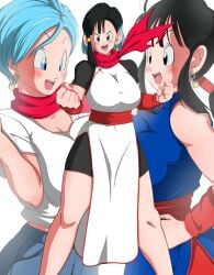 Chichi (Dragon Ball) Rule 34 Image