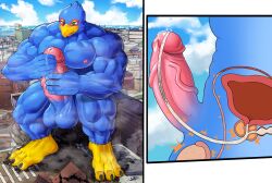 abs absurd_res anthro avian balls beak biceps big_muscles bird blue_body blue_feathers blush bodily_fluids building city cock_vore cross_section cum digital_media_(artwork) erection falco_lombardi feathers furry genital_fluids genitals hi_res huge_muscles inside_penis internal macro male masturbation mayar multiple_prey muscular muscular_male nintendo penile penis precum prostate prostate_stimulation sitting sitting_on_building solo star_fox urethra vore