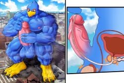 absurd_res anthro avian balls beak bird bladder blue_body bodily_fluids building city cock_vore cross_section digital_media_(artwork) erection falco_lombardi genital_fluids genitals hi_res inside_balls inside_penis internal macro male male_pred masturbation mayar multiple_prey muscular muscular_male nintendo penile penis precum prostate prostate_stimulation sitting solo star_fox urethra urethral vore