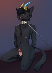 anthro arm_tuft balls black_balls black_body black_fur black_hair blue_horn brown_eyes cheek_tuft collar elbow_tuft erection facial_tuft felid fur genitals hair hands_behind_back hi_res horn humanoid_genitalia humanoid_penis kneeling leash lionfloof looking_at_viewer male male_only mammal nude open_mouth penis pink_penis red_tongue short_hair shoulder_tuft solo tongue tuft white_collar white_leash yellow_horn