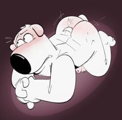 2024 20th_century_fox 20th_century_studios all_fours animal_genitalia anthro ass balls bashful blush blushing_profusely body_blush brian_griffin butt_blush canid canine canis domestic_dog family_guy fur fuzzy_door_productions genitals high-angle_view looking_away male mammal nervous nude nude_male sheath short_male solo spotlight tail tail_motion tailwag the-alfie-incorporated white_body white_fur