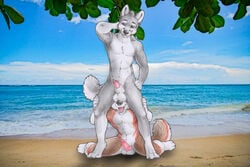 2boys anthro beach canine chaine_redfield chapiduh duo erection furry gay kemonowolf love male male_only mammal nude outside paws public seaside sketch standing testicles_on_face together wolf yaoi