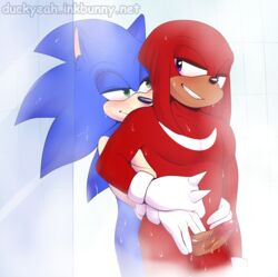 balls duckyeah gay knuckles_the_echidna male male_only penis shower sonic_(series) sonic_the_hedgehog sonknux