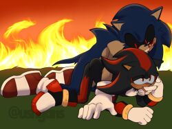 shadow the hedgehog from sega by ushgans