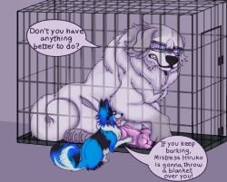 alternate_species anatomically_correct anatomically_correct_genitalia anatomically_correct_penis animal_genitalia animal_penis big_penis cage canid canine canine_genitalia canine_penis canis darumi_amemiya domestic_dog duo eito_aotsuki english_text eyewear female feral furrification genitals glasses great_pyrenees hi_res kennel livestock_guardian_dog male mammal molosser mountain_dog papillon pastoral_dog penis tail tail_motion tailwag text the_hundred_line_-last_defense_academy- toxoplasmosis_(toxoplasmatinae) toy_dog wearing_glasses