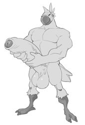 anthro balls big_balls breath_of_the_wild erection greyscale holding_penis huge_balls humanoid_penis hyper hyper_balls hyper_penis kass_(zelda) looking_at_viewer male male_only monochrome muscular muscular_male nintendo penis rito smile solo standing the_legend_of_zelda toomanyboners uncut vein video_games