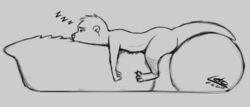 anthro arin_(letodoesart) black_and_white dildo letodoesart male male_only mammal monochrome mustelid nude otter pillow sex_toy sleeping solo sound_effects zzz