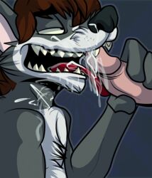 anthro canine coyote cum cumshot ejaculation fatalsyndrome fellatio hair half-closed_eyes male mammal mullet nude open_mouth oral orgasm penis sex southern stuart_k_reilly_(character) tongue yaoi