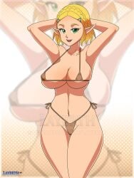 breasts female female_only layerth nintendo princess_zelda solo swimsuit tagme tears_of_the_kingdom the_legend_of_zelda the_legend_of_zelda:_breath_of_the_wild zelda_(tears_of_the_kingdom)