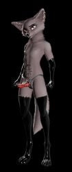 anthro canid canine canis dominatrix female fur grey_body grey_fur hi_res latex mammal mr_shy multiple_piercings piercing skinny umbra_(mr_shy) wolf