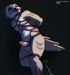 4_toes absurd_res anisodactyl anthro avian avian_feet balls beak biped bird bondage bound chest_tuft collar feathers feet gag gagged genitals hands_behind_back hi_res male nude_anthro nude_male owl penis penis_tied querq restraints rope rope_bondage rope_harness simple_background solo standing tail tail_feathers tan_body tan_feathers toes tuft