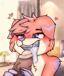anthro bedroom bedroom_eyes blush bodily_fluids brown_penis canid canine canine_teeth canis cum cum_in_mouth cum_inside disy domestic_dog drinking drinking_cum fellatio fluffy fluffy_hair fur genital_fluids genitals good_boy hair heart_eyes heart_symbol hi_res humanoid_genitalia humanoid_penis licking male male/male mammal messy narrowed_eyes oral penile penis penis_lick pink_body pink_fur purple_body purple_eyes purple_fingers purple_fur purple_nose salmon_fur seductive sex smile spurting spurting_sound_effect swallowing tan_body tan_fur tongue tongue_out vein veiny_penis xiomih2