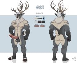 2021 abs ace_(mofurrx) anthro antlers apple-faced artist_name ass balls blue_eyes brown_antlers color_swatch dated deer erection front_view genitals glans grey_balls grey_body hair hi_res horn humanoid_genitalia humanoid_penis looking_at_viewer male male_anthro mammal model_sheet mouth_closed muscular muscular_anthro muscular_male nude pecs penis rear_view red_penis short_hair solo standing text white_body white_hair