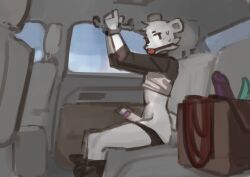 absurd_res anthro ball_gag bear bondage bottomwear bottomwear_down bound captured car clothed clothing clothing_lift cuff_(restraint) dildo gag handcuffs hands_above_head hi_res kidnapping male male_only mammal metal_cuffs pants pants_down panzery25 partially_clothed public questionable_consent restraints ring_vibrator sex_toy shirt shirt_lift solo topwear vehicle vibrator
