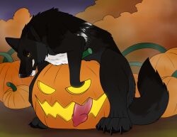 Echo (Wolffylegend) Rule 34 Image