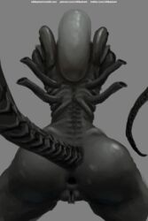 2018 alien alien_(franchise) anus ass big_butt female female_xenomorph feral_only gaping gaping_anus nihilophant presenting presenting_hindquarters pussy raised_tail simple_background solo xenomorph