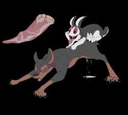 anal bunnicula bunnicula_(series) canine canine doberman female feral fluffy internal lagomorph male mammal rabbit torinsangel