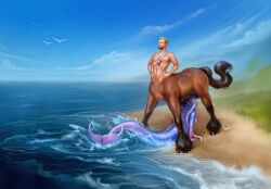 2025 beach black_hair blue_body brown_body centaur duo equid equid_taur european_mythology fellatio female grass greek_mythology hair hands_on_hips hi_res humanoid humanoid_taur jewelry male male/female mammal mammal_taur marine merfolk mythology necklace nude oral outside penile penis plant sex shell shell_necklace snizhna split_form taur