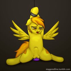 2014 amber_eyes arms_tied bound cutie_mark dildo dildo_sitting equine feathered_wings feathers female feral flat_chested friendship_is_magic fur hair half-closed_eyes hi_res mammal masturbation my_little_pony nude open_mouth orange_hair pegasus penetration pussy raised_arm sex_toy solo spitfire_(mlp) staggeredline stomach_bulge tongue toying_self vaginal_masturbation vaginal_penetration vaginal_penetration wings wonderbolts_(mlp) yellow_feathers yellow_fur