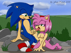 amy_rose arm_support black_nose blue_fur breasts crouching detailed_background fellatio frost_norde grabbing green_eyes navel nipples one_eye_closed open_mouth oral oral_sex penilingus penis penis_grab pink_fur pussy sega sex shoes sky small_breasts sonic_(series) sonic_the_hedgehog tail thick_penis tongue tongue_out vein veiny_penis