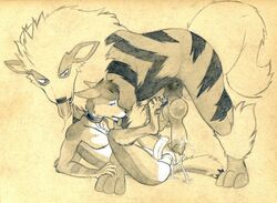arcanine from nintendo by tush