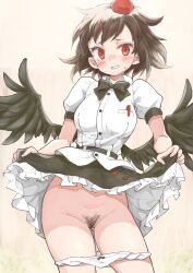 shameimaru aya from touhou by chikado