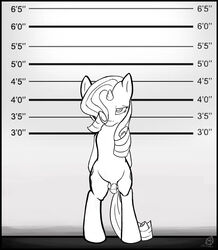 2013 animal_genitalia animal_penis balls black_and_white chart cutie_mark equine equine_penis feral flaccid friendship_is_magic hair height_chart hi_res horn horsecock male mammal monochrome my_little_pony penis pentabins rarity_(mlp) rule_63 solo standing unicorn