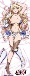 1girls alicia_arcturus big_breasts dakimakura female_only kuroinu_~kedakaki_seijo_wa_hakudaku_ni_somaru~ solo tagme torn_clothes