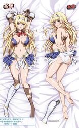 alicia_arcturus ass barefoot blonde_hair blue_eyes breasts dakimakura feet female kuroinu_~kedakaki_seijo_wa_hakudaku_ni_somaru~ long_hair midriff navel panties soles solo tagme toes torn_clothes white_panties