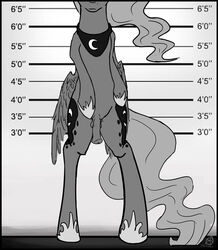 1futa 2013 alicorn animal_genitalia animal_penis balls cutie_mark dickgirl equine equine_penis feathered_wings feathers feral flaccid friendship_is_magic furry futanari hair height_chart hi_res horn horsecock intersex lineup mammal monochrome my_little_pony penis pentabins princess princess_luna_(mlp) royalty small_penis solo solo_futa standing wings