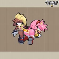 amy rose from sega by boiled pappy (artist)