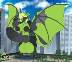 Frill (Anatomy) Rule 34 Image