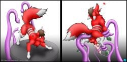 animal_genitalia balls bodily_fluids canine_genitalia cum cumshot ejaculation feral genital_fluids genitals hi_res knot male masturbation matt_(wackyfox26) paws penetration sheath solo srfx18 tentacle tentacle_penetration