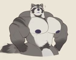 anthro areola bara biceps big_muscles big_pecs biped blush blush_lines countershade_face countershade_fur countershade_torso countershading deltoids digital_drawing_(artwork) digital_media_(artwork) dot_eyes facial_markings fingerless_(marking) fingerless_gloves_(marking) fingers flat_colors fur genitals gloves_(marking) grey_body grey_fur half-length_portrait head_markings hi_res huge_muscles huge_pecs humanoid_hands hyper hyper_muscles looking_at_viewer male male_anthro male_only mammal manly markings mask_(marking) monotone_background multicolored_body multicolored_fur muscles muscular muscular_anthro muscular_arms muscular_male navel nipples pecs penis penis_base portrait procyonid pubes purple_areola purple_eyes purple_mouth purple_nipples purple_nose raccoon ring_(marking) ringed_tail simple_background simple_eyes solo standing striped_markings striped_tail stripes tail tail_markings theor thick_penis three-quarter_view trapezius triceps white_body white_countershading white_fur yaoi