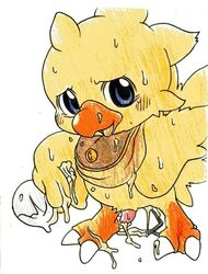 boko chocobo final_fantasy male_only tagme