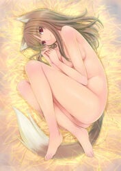 1girls animal_ears barefoot breasts brown_hair completely_nude completely_nude_female feet female holo long_hair lying mikazuki_akira nude nude_female nudist ookamimimi outdoors outside red_eyes small_breasts solo spice_and_wolf tail toes wolf_ears wolfgirl