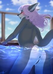 absurd_res anthro asyalawrence black_vulva blue_eyes blush breasts canid canine canis female genitals grey_body hair hi_res looking_back mammal nude pool purple_hair raine_winters solo vulva water wolf