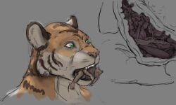 2022 anthro bodily_fluids brown_body brown_fur colored covering covering_mouth duo fatal_vore feet_first felid flaccid forced fur genitals green_eyes grey_background inside_stomach internal jeri_kleinlowe macro macro_pred male male/male male_pred male_prey mammal micro micro_prey mouse murid murine open_mouth oral_vore orange_body orange_fur pantherine penis prey_in_mouth rodent scared simple_background stomach_acid striped_body striped_fur stripes struggling struggling_prey teeth tiger tongue unwilling_prey vore willing_pred