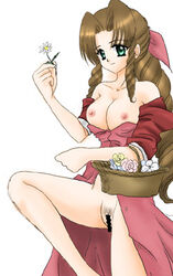 aerith_gainsborough artist_request breasts brown_hair female female_only final_fantasy final_fantasy_vii flowers green_eyes human leg_lift nipples nude pubic_hair pussy scribble_censor solo straight_hair