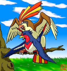 dragon_soul_e nintendo pidgeot pokémon_(species) pokemon pokemon_(species) swellow tagme