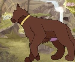 1boy animal_genitalia artist_name brown_fur cat_ears cat_penis cat_tail english_text erection feline feral ibispaintx littlelilith original_character penis solo warriors_(cats)