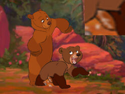 brother_bear cub disney feral gay kenai koda male_only tagme