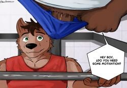 anthro bear bulge clothing duo erection footwear genitals gym hi_res male male/male mammal penis shoes sneakers