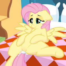 2018 bed bedding bedroom blanket cum cum_in_pussy cum_inside dresser equine eyebrows eyelashes feathered_wings feathers female feral floppy_ears fluttershy_(mlp) friendship_is_magic hair headboard hooves inside lying mammal my_little_pony nude on_back on_bed pegasus pillow pink_hair pussy smile solo spectre_z spread_legs spreading teal_eyes underhoof wings yellow_feathers